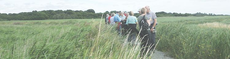 Westwood Marshes and Lodge